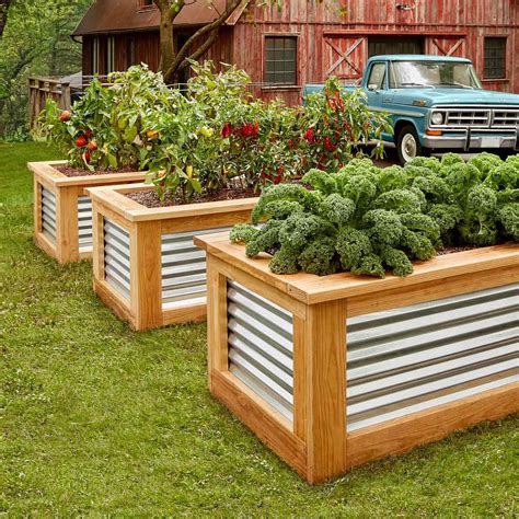 raised bed garden boxes